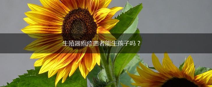 生殖器疱疹患者能生孩子吗？,第1张