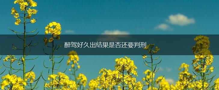 醉驾好久出结果是否还要判刑,第1张