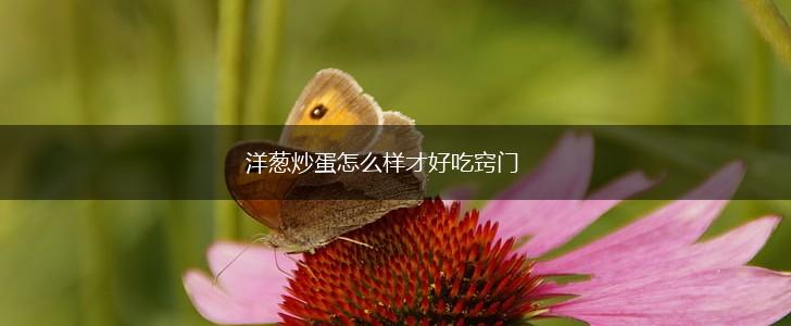 洋葱炒蛋怎么样才好吃窍门,第1张