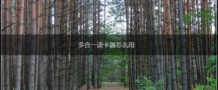 多合一读卡器怎么用,第1张