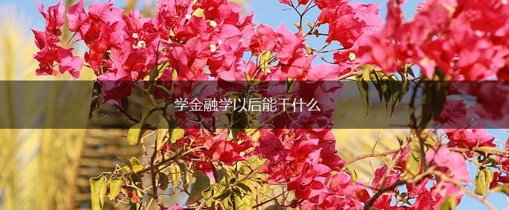学金融学以后能干什么,第1张 学金融学以后能干什么,第1张