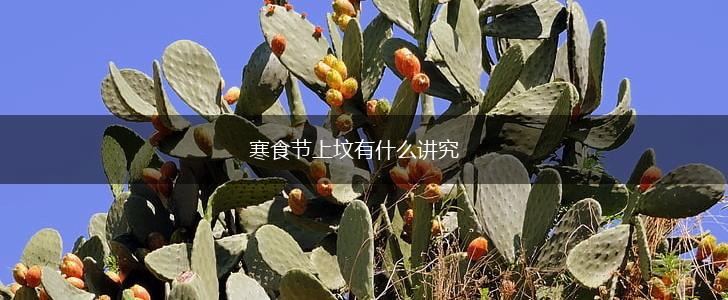 寒食节上坟有什么讲究,第1张 寒食节上坟有什么讲究,第1张