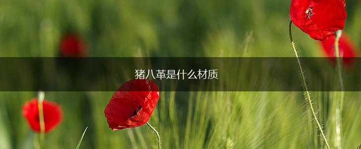 猪八革是什么材质,第1张