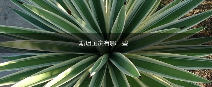 斯坦国家有哪一些,第1张