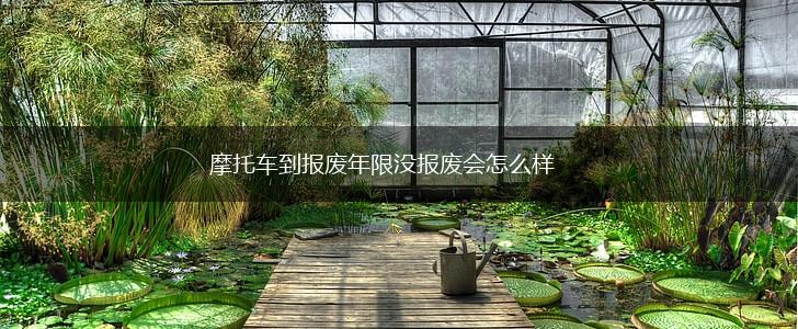 摩托车到报废年限没报废会怎么样,第1张