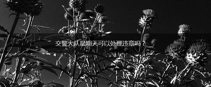 交警大队星期天可以处理违章吗？,第1张