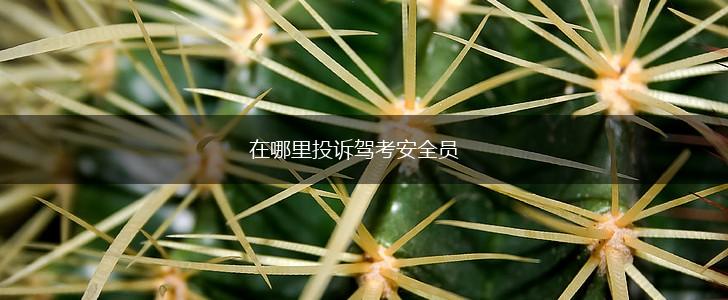 在哪里投诉驾考安全员,第1张