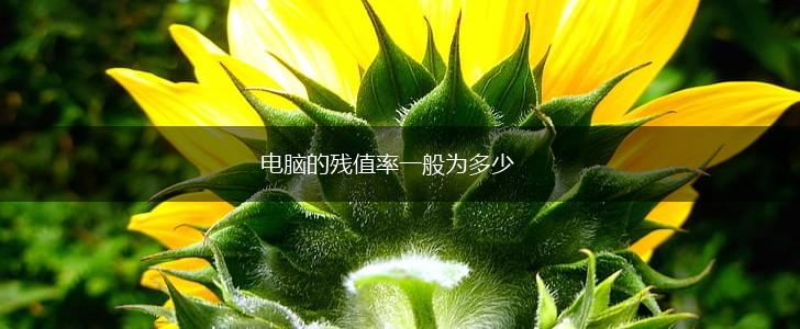 电脑的残值率一般为多少,第1张