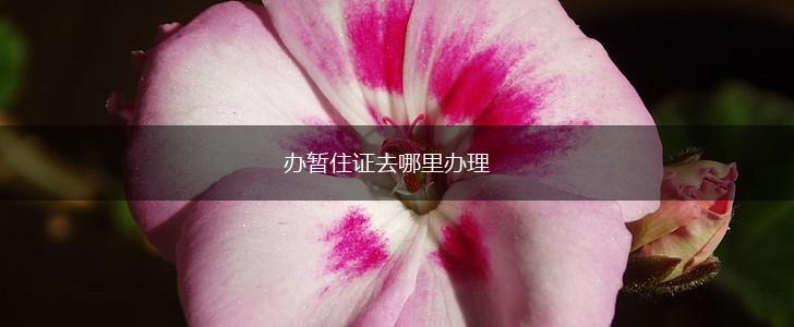 办暂住证去哪里办理,第1张