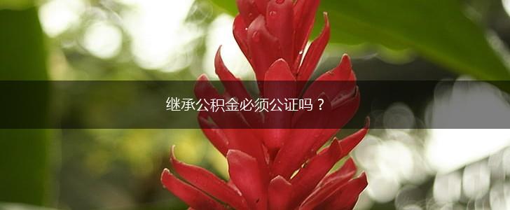 继承公积金必须公证吗?,第1张 继承公积金必须公证吗?,第1张
