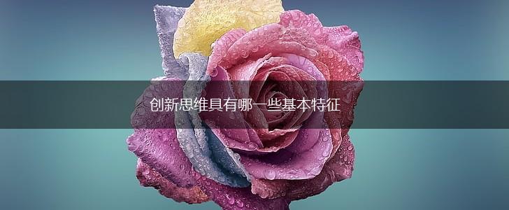创新思维具有哪一些基本特征,第1张