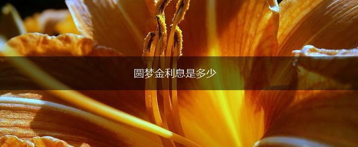 圆梦金利息是多少,第1张