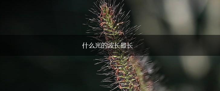 什么光的波长最长,第1张