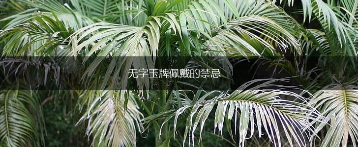 无字玉牌佩戴的禁忌,第1张