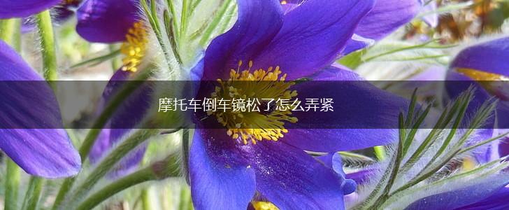 摩托车倒车镜松了怎么弄紧,第1张