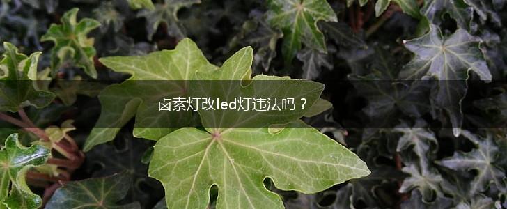 卤素灯改led灯违法吗？,第1张