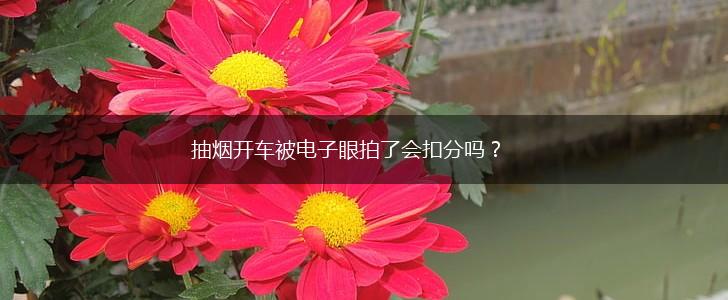 抽烟开车被电子眼拍了会扣分吗？,第1张