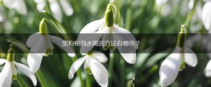 黑枸杞泡水喝的方法有哪些？,第1张
