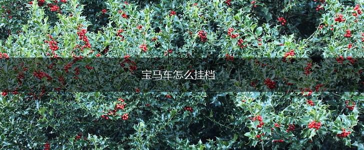 宝马车怎么挂档,第1张
