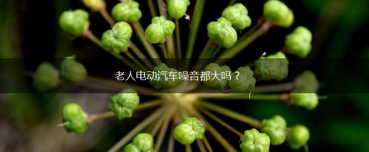 老人电动汽车噪音都大吗？,第1张