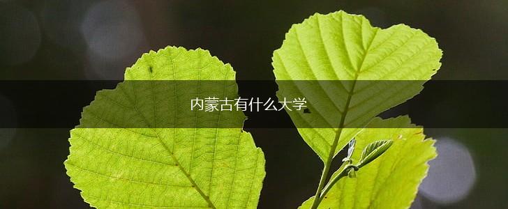 内蒙古有什么大学,第1张