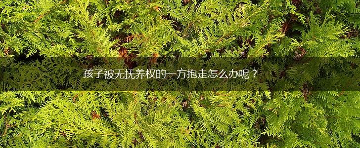 孩子被无抚养权的一方抱走怎么办呢？,第1张