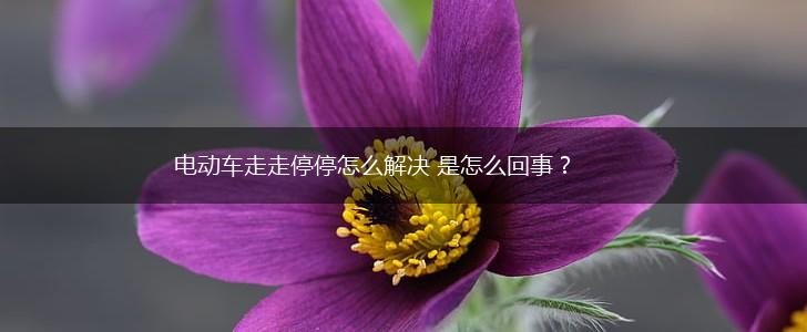 电动车走走停停怎么解决 是怎么回事？,第1张