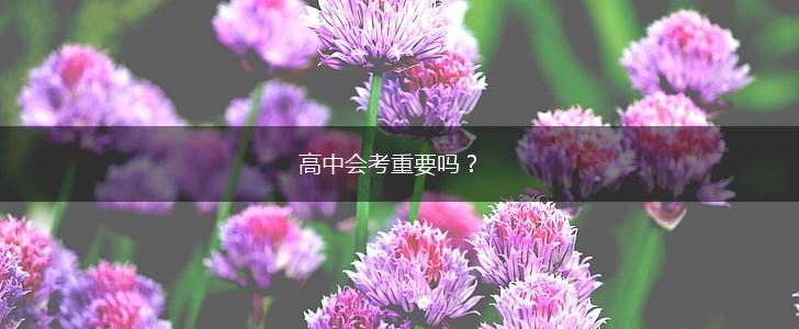高中会考重要吗？,第1张