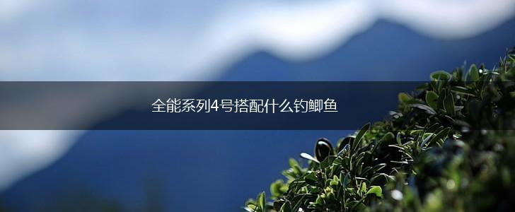 全能系列4号搭配什么钓鲫鱼,第1张