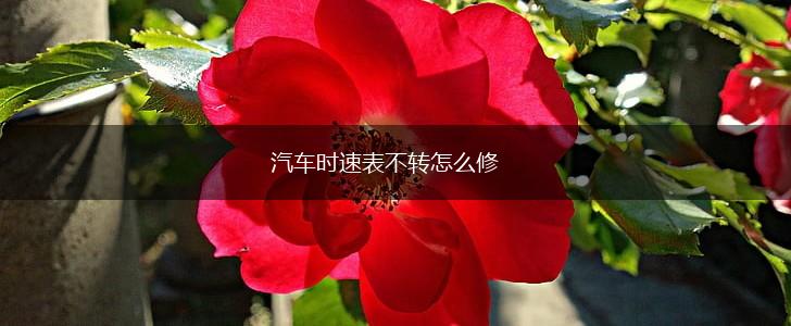 汽车时速表不转怎么修,第1张