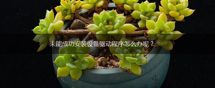 未能成功安装设备驱动程序怎么办呢？,第1张