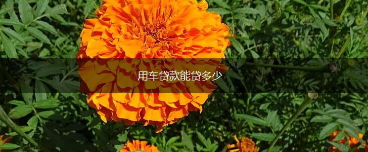 用车贷款能贷多少,第1张