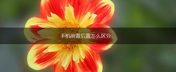 手机前置后置怎么区分,第1张