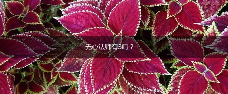 无心法师有3吗？,第1张