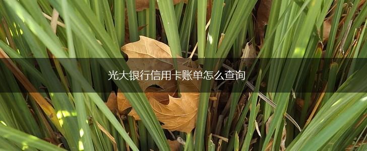 光大银行信用卡账单怎么查询,第1张
