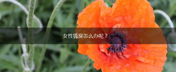 女性狐臭怎么办呢？,第1张