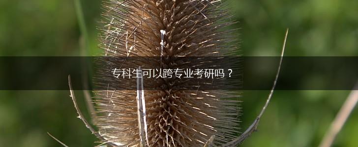 专科生可以跨专业考研吗？,第1张