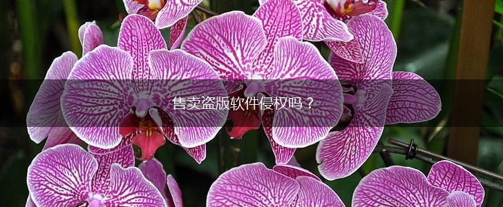 售卖盗版软件侵权吗？,第1张