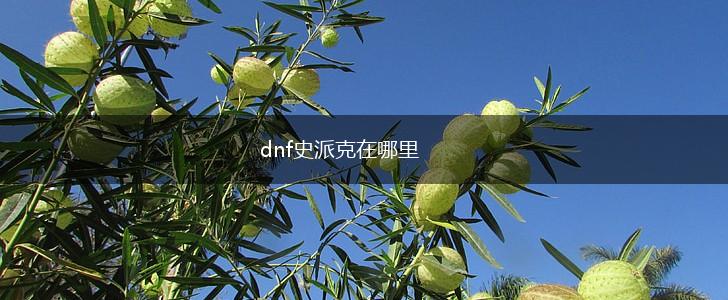 dnf史派克在哪里,第1张