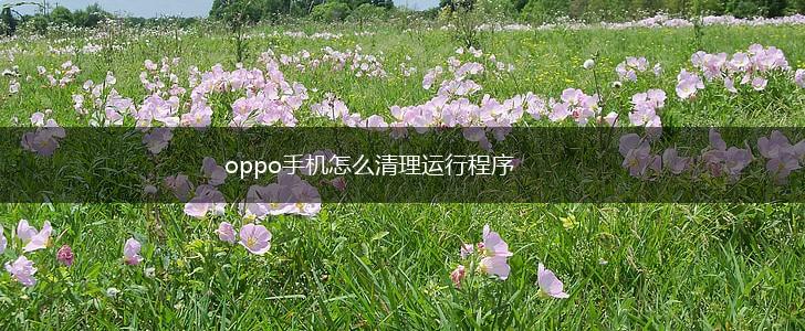oppo手机怎么清理运行程序,第1张