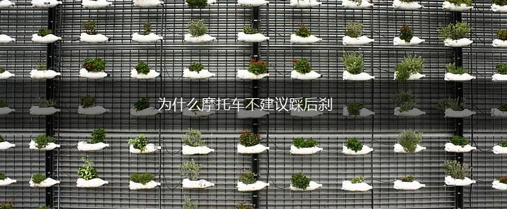为什么摩托车不建议踩后刹,第1张