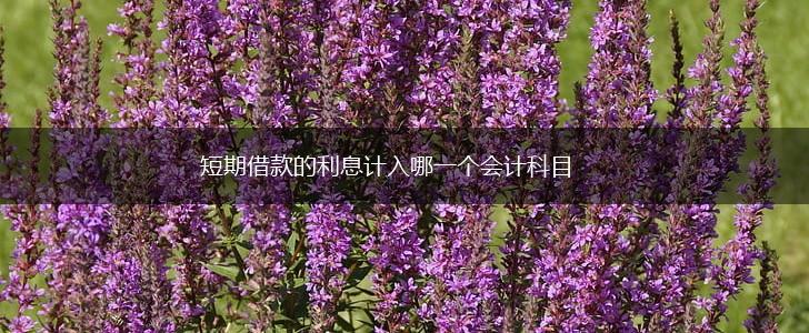 短期借款的利息计入哪一个会计科目,第1张