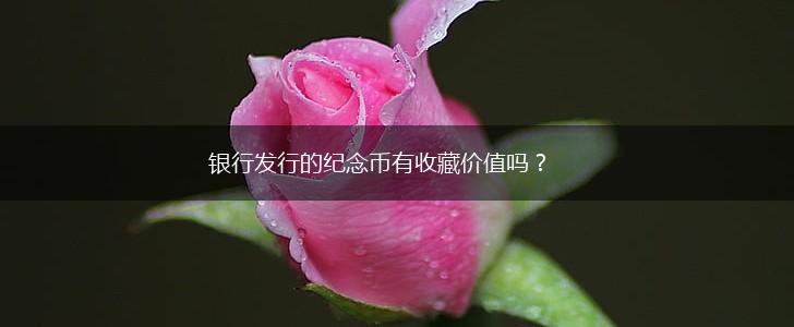 银行发行的纪念币有收藏价值吗？,第1张