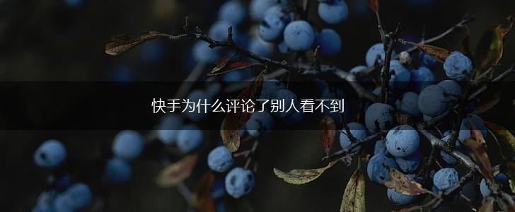 快手为什么评论了别人看不到,第1张