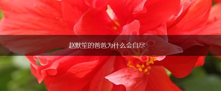 赵默笙的爸爸为什么会自尽,第1张
