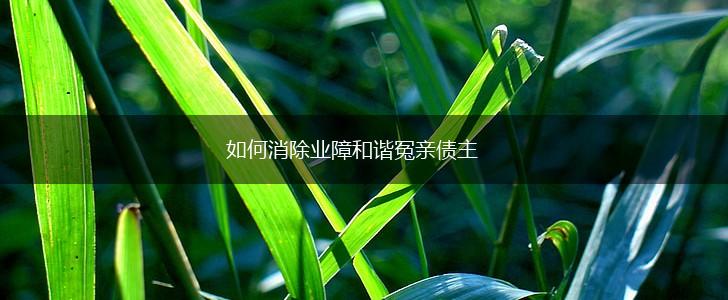 如何消除业障和谐冤亲债主,第1张