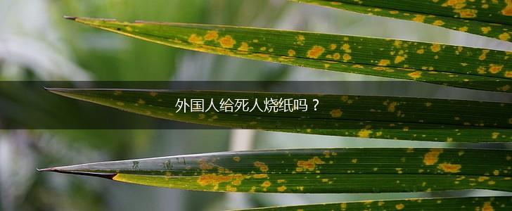 外国人给死人烧纸吗？,第1张