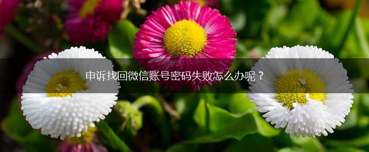 申诉找回微信账号密码失败怎么办呢？,第1张
