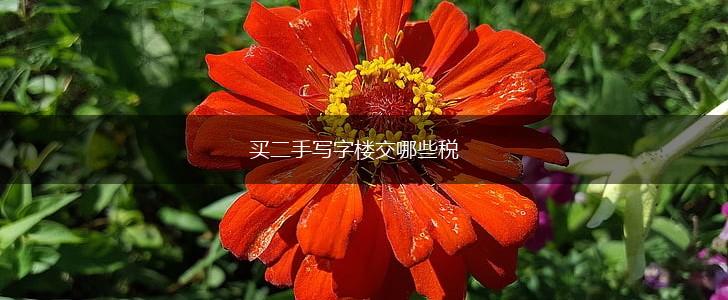 买二手写字楼交哪些税,第1张