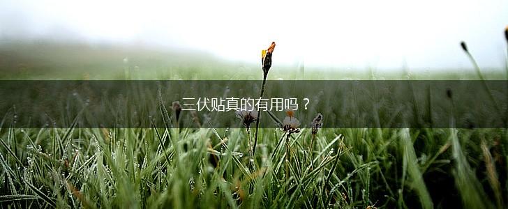 三伏贴真的有用吗？,第1张